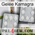 Gelée Kamagra 17